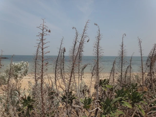 Beach 3.jpg