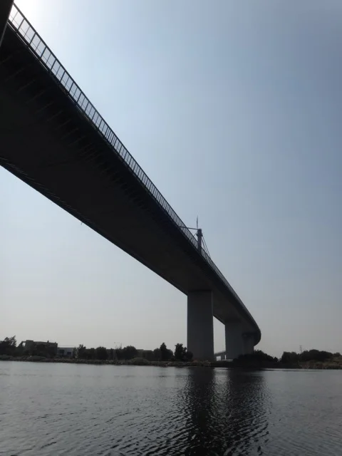 Bridge 2.jpg