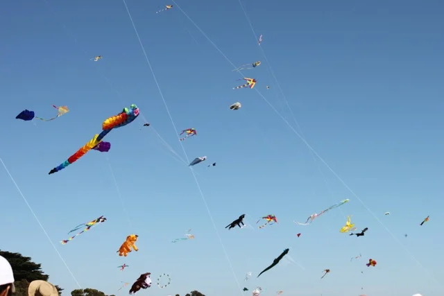 Kites 1.jpg