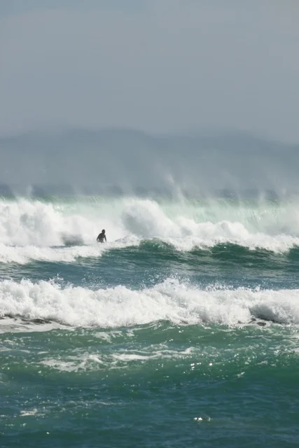 Surf.jpg