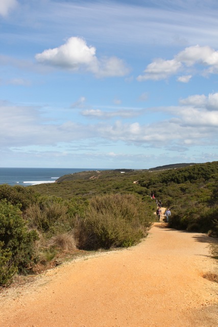 The coastal trail to Bells Beach - great for walking or biking