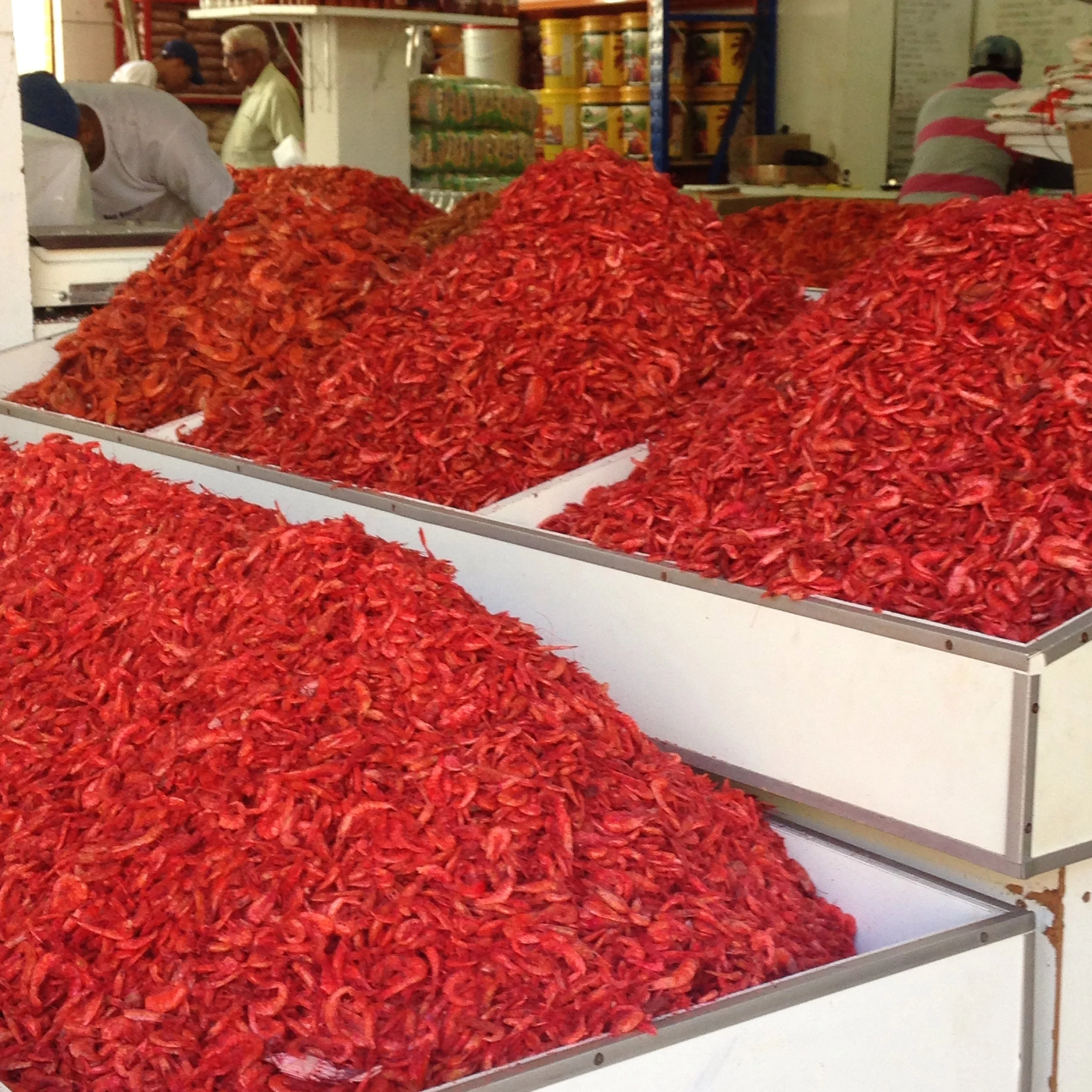 Shrimp. I suspect this is not their natural colour.