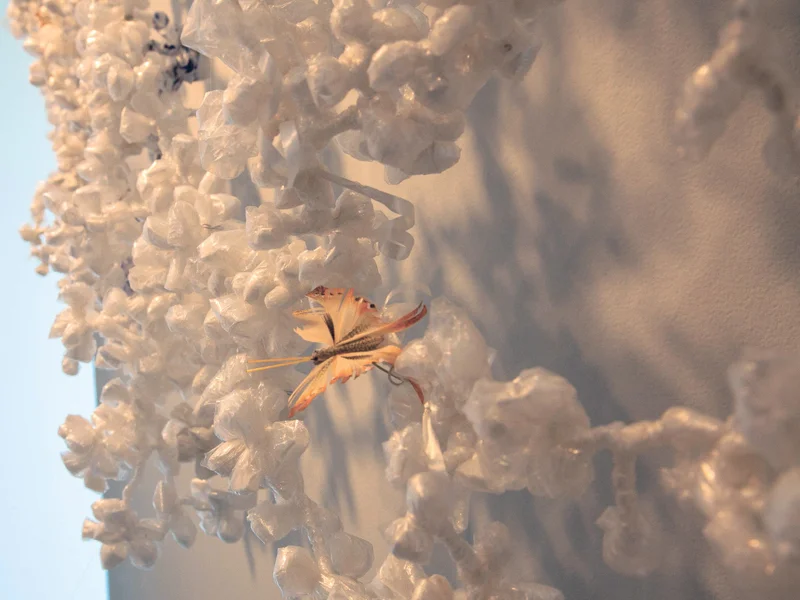 <h2>Pearls of Snow</h2>
