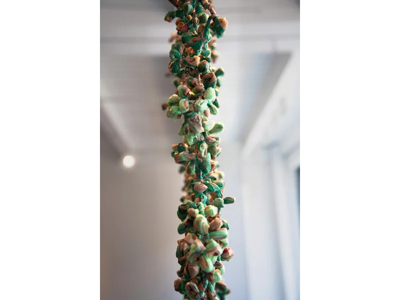 <h2>The Emeralds of Ivy</h2>