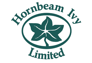 Hornbeam Ivy
