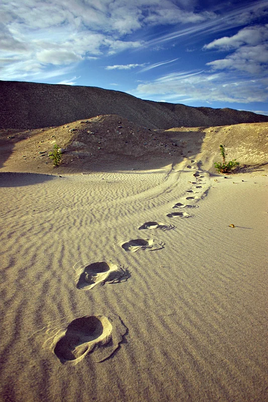 footprints_in_the_sand_by_tfavretto-d1yvmax.jpg