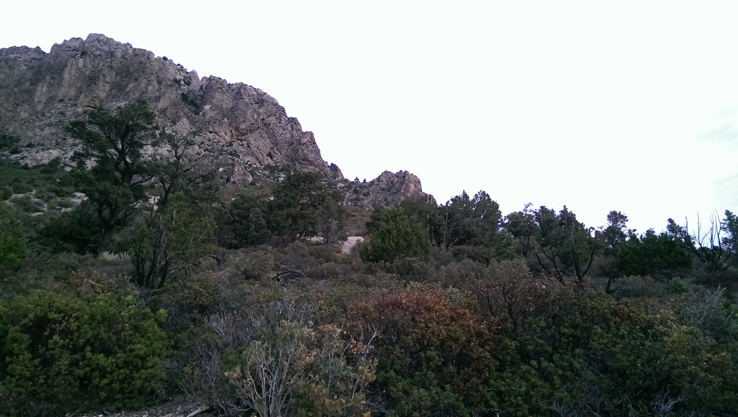 IMAG0152.jpg