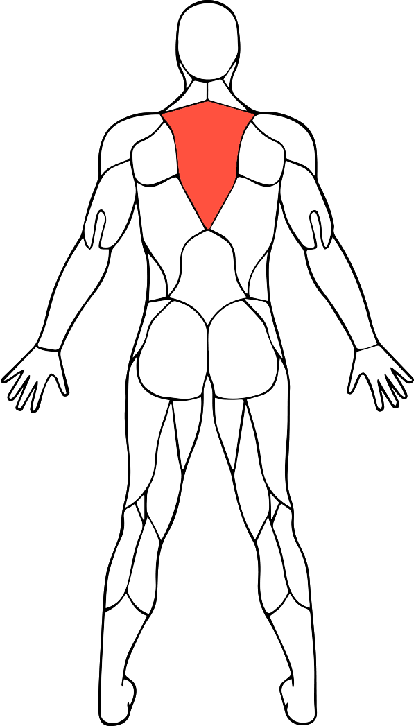 middleback.png