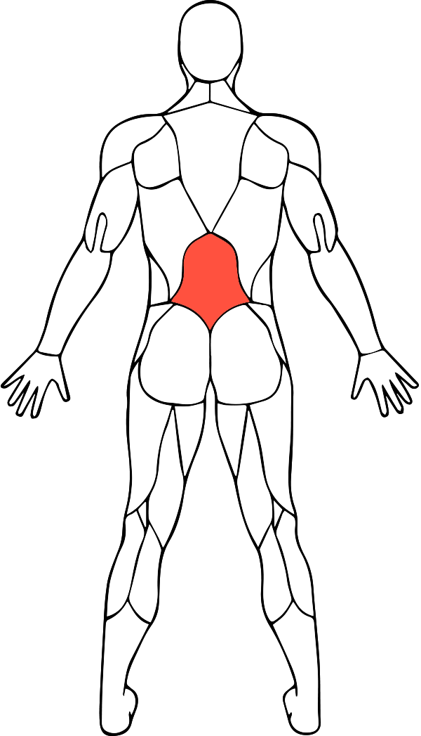 lowerback.png