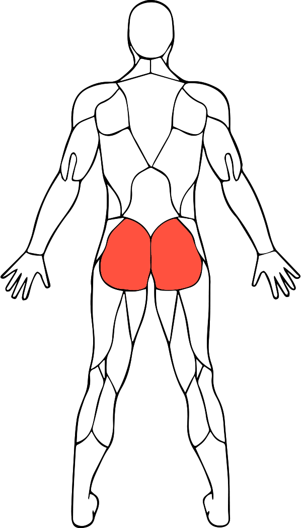 glutes.png