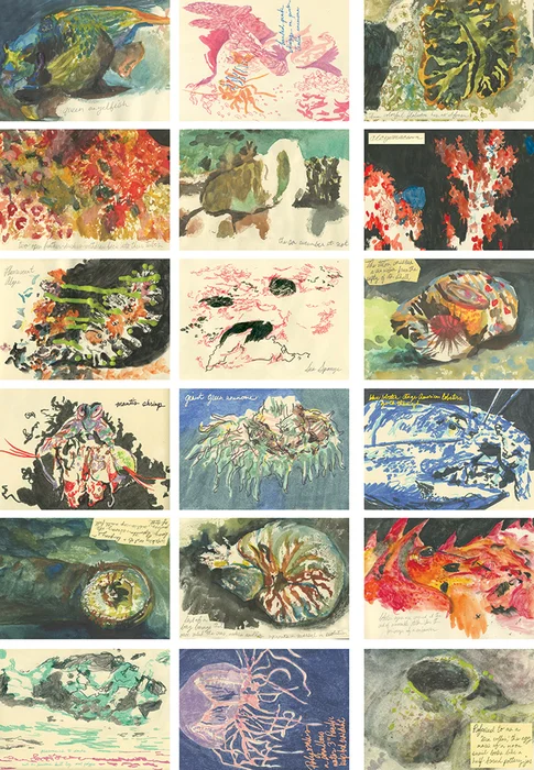 Ocean Organisms • Carrie Riehl, 2013