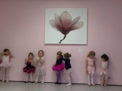 ballet.jpeg