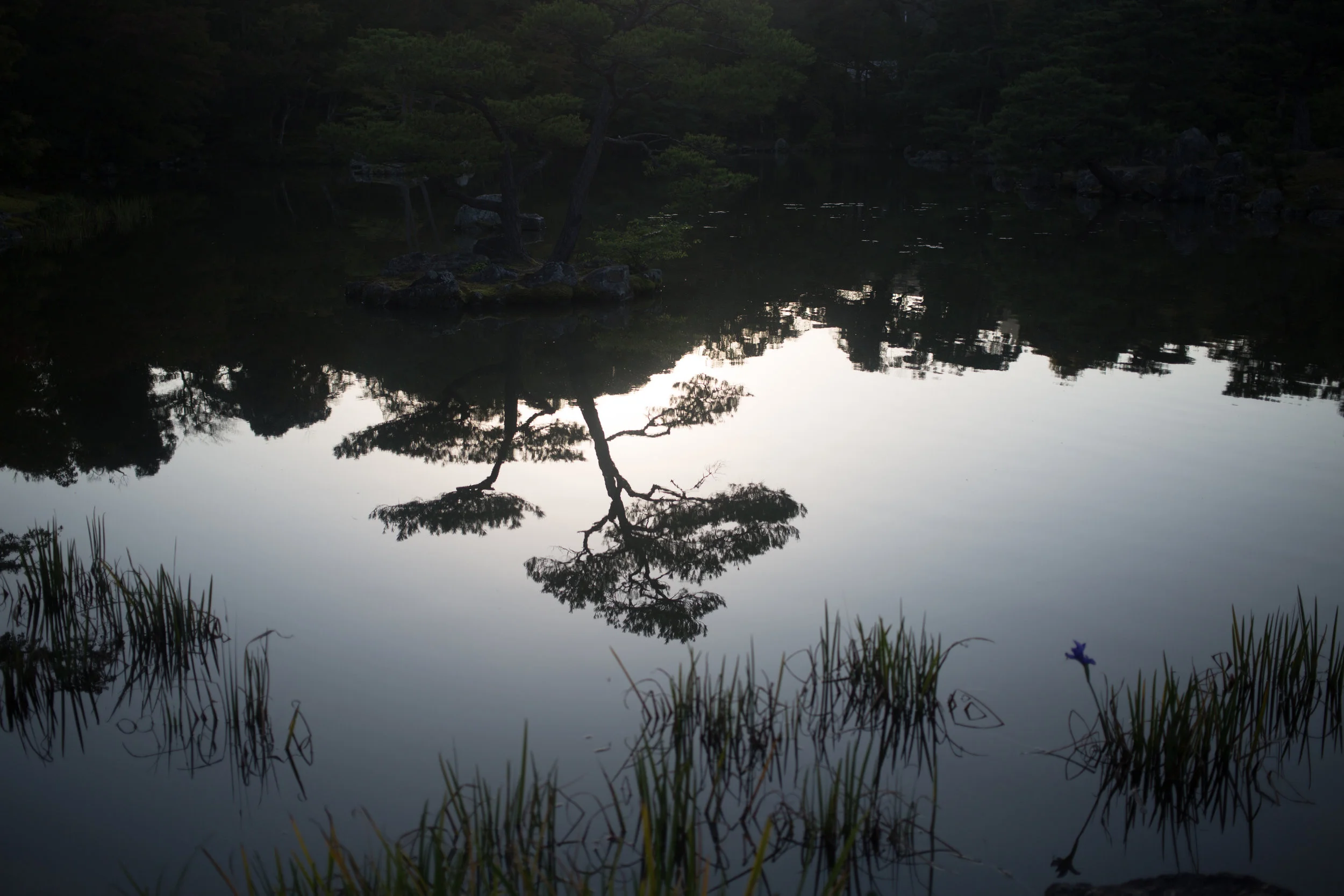 _Z6A8167.jpg