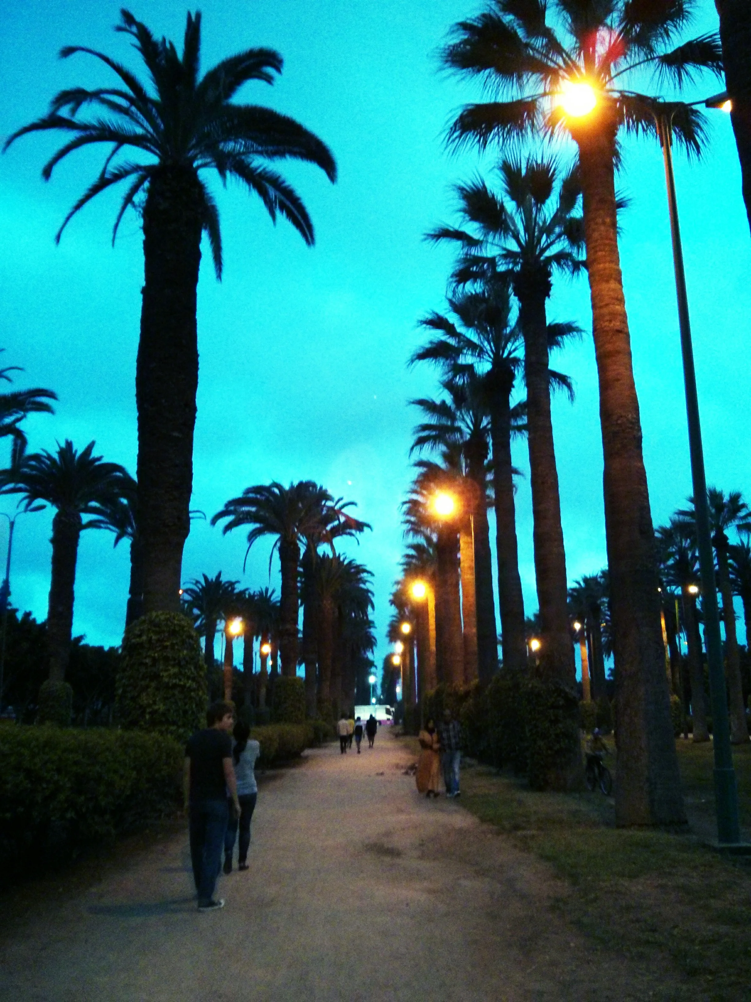 Casablancan park at dusk