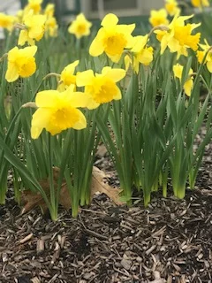 IMG_0943.jpg