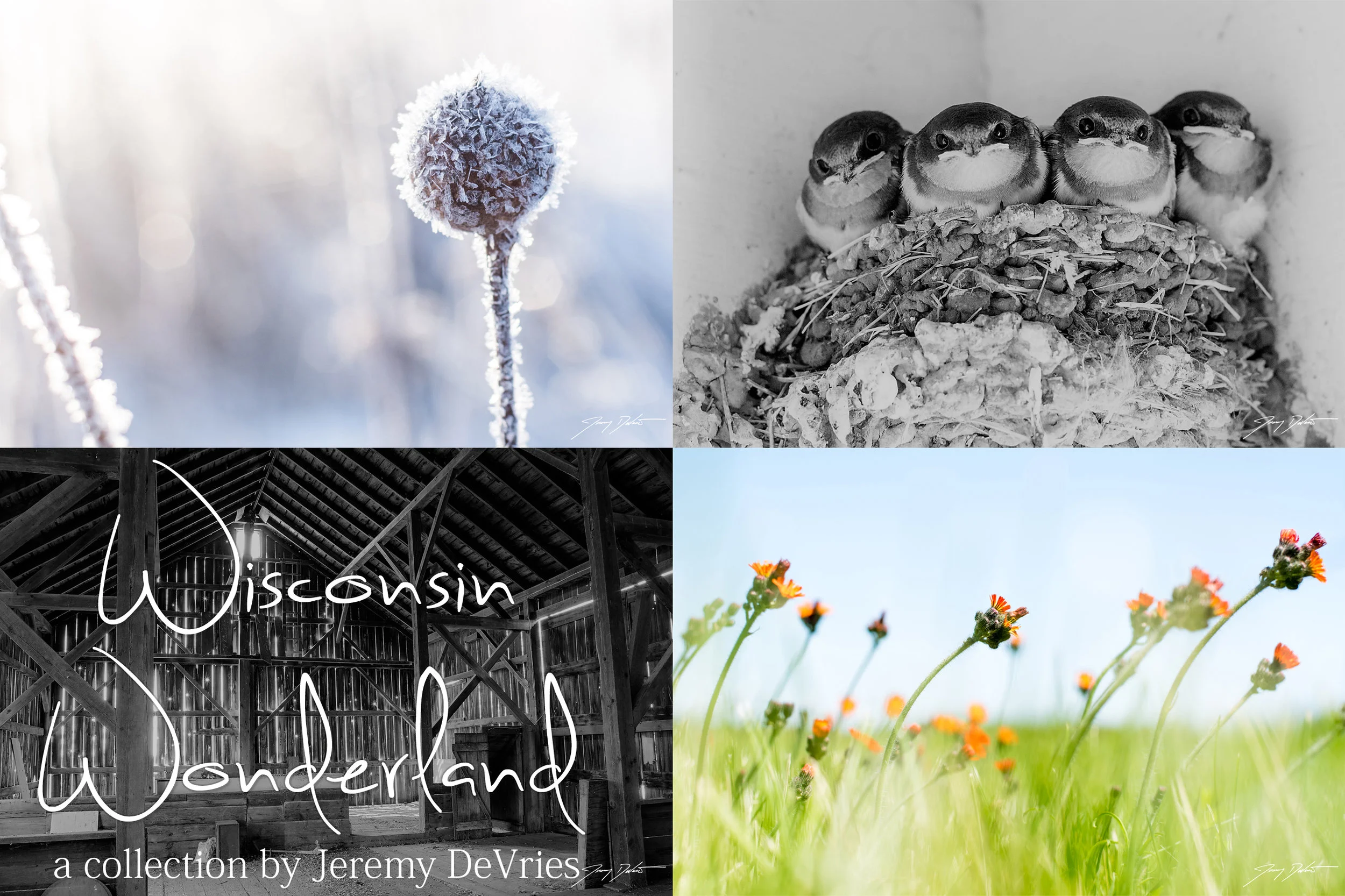 Jeremy DeVrie painting.jpeg