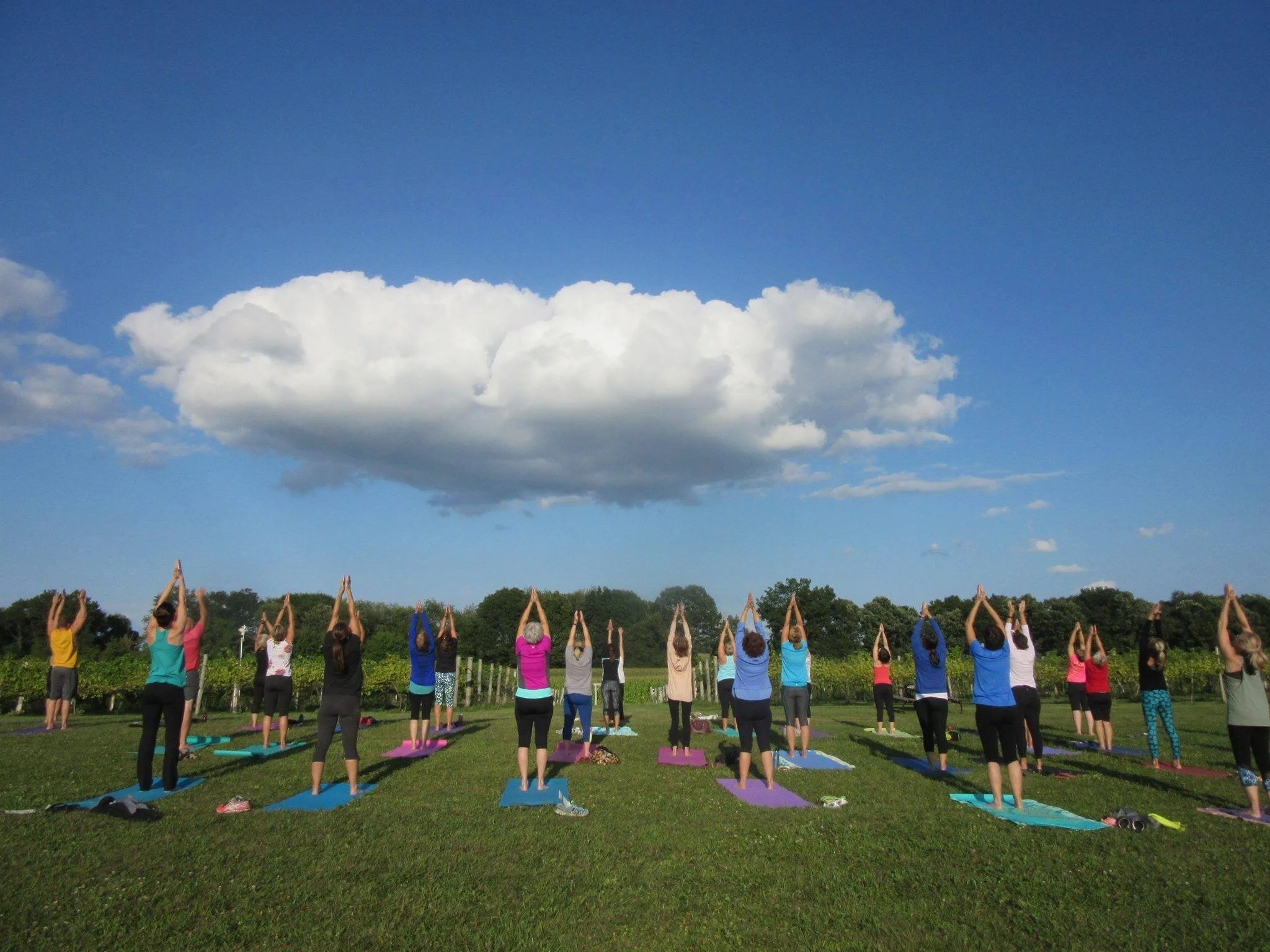 Yoga in the vineyard.jpg