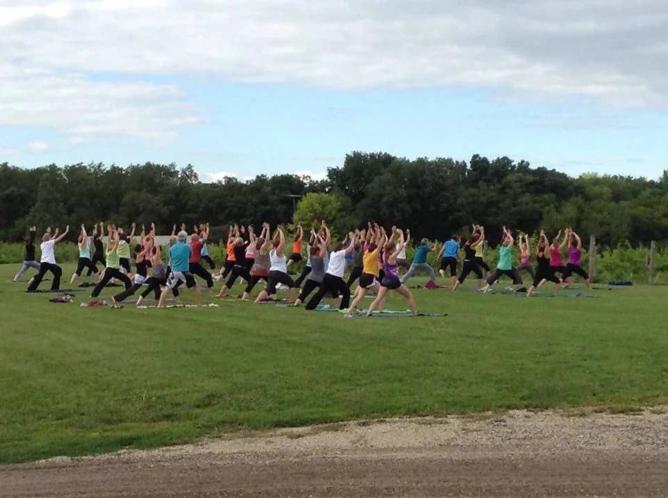 Yoga in the VIneyard.jpg