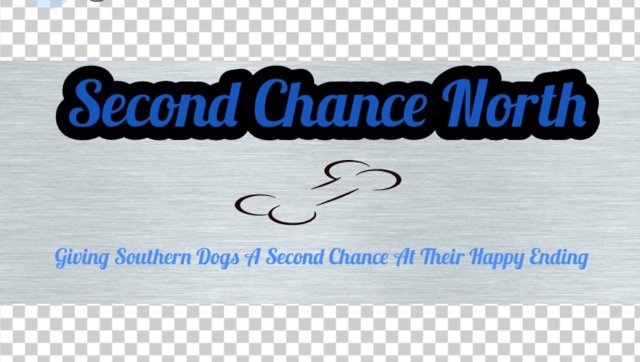 secondchance Medium.jpeg
