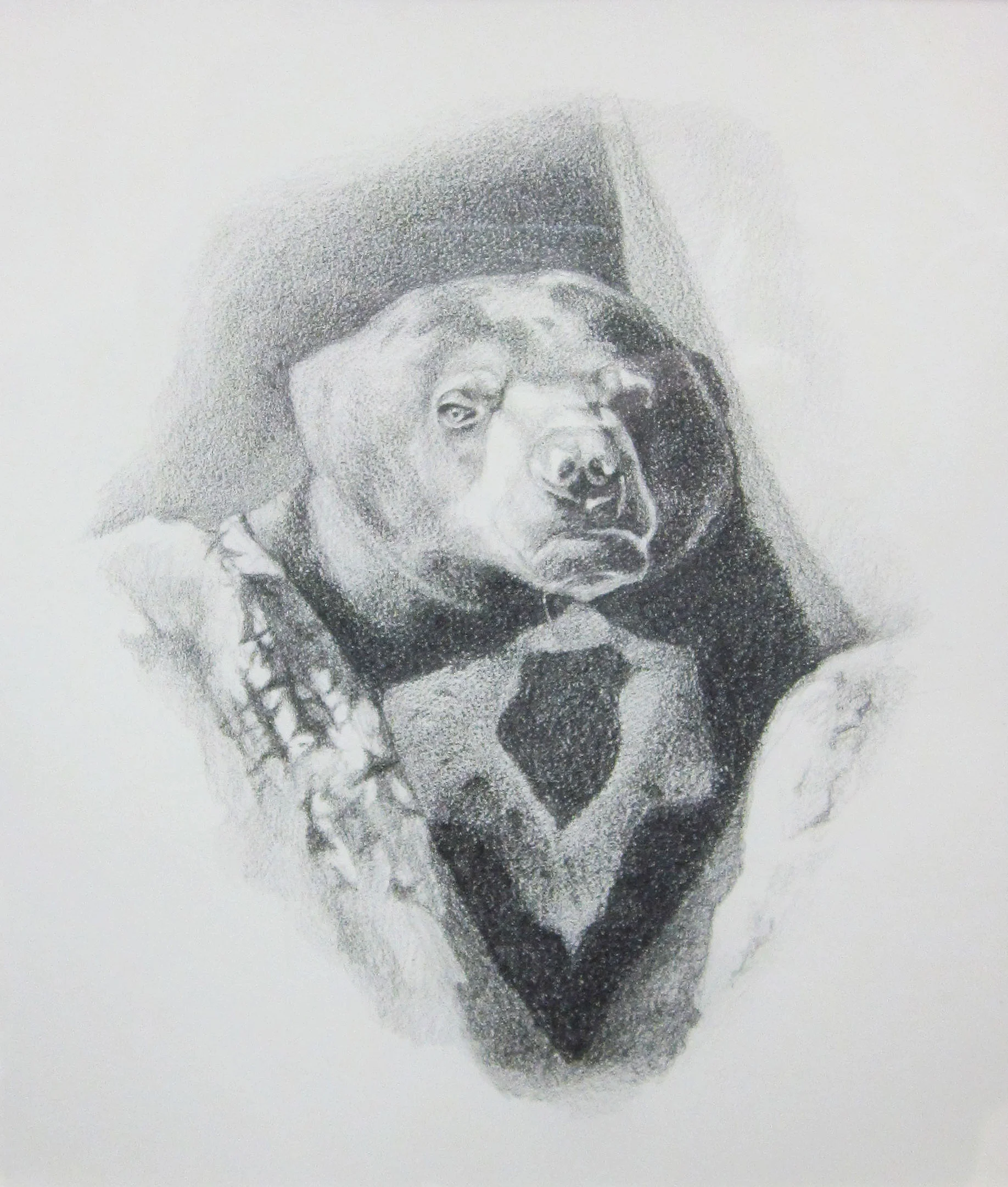 Sun Bear