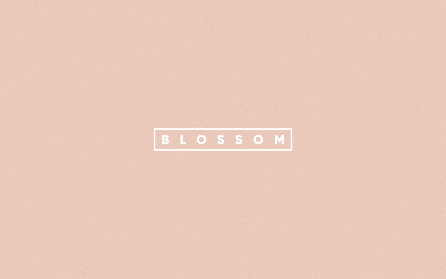  Branding for Blossom Cocktail. 2017 | More  here . 
