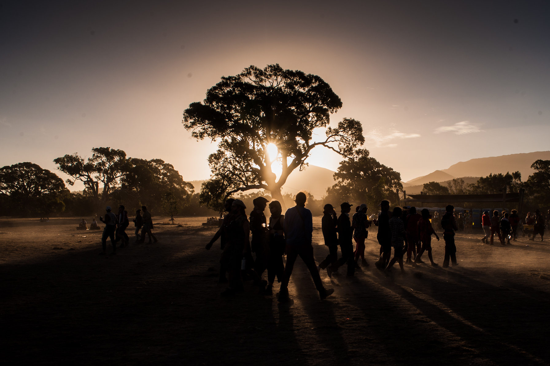 pitch sunset trolleyd.jpg