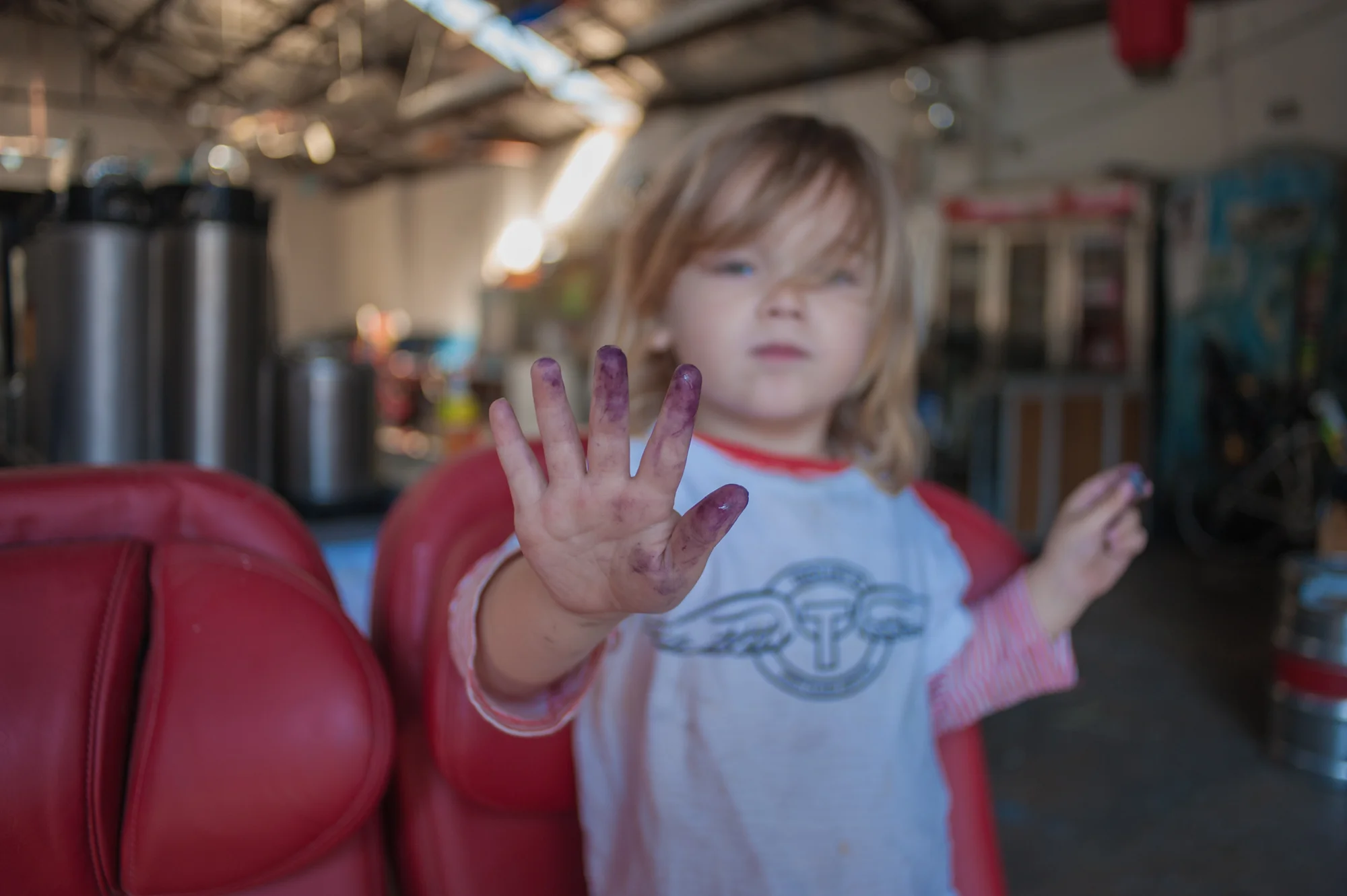 illawarra plum stains stan lee.jpg