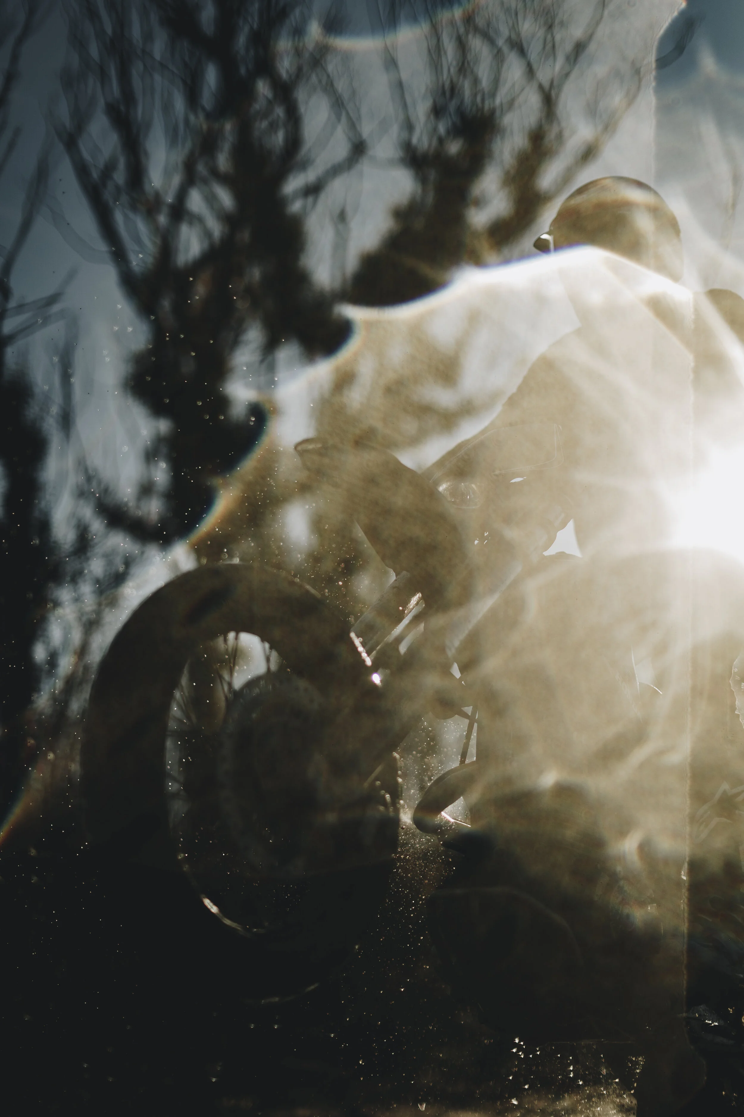 200719_MATTYOWER_MOTO_TRAILS_5018.jpg