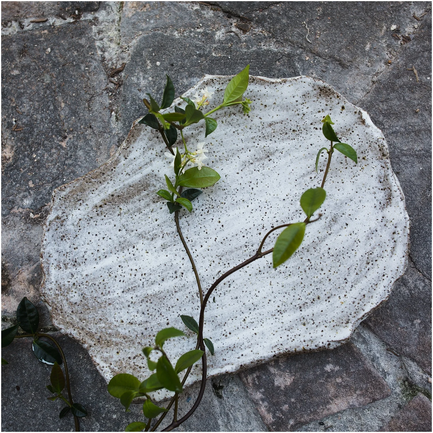 Artisan All Firedup Pottery Gold Coast — ROSE HEWARTSON