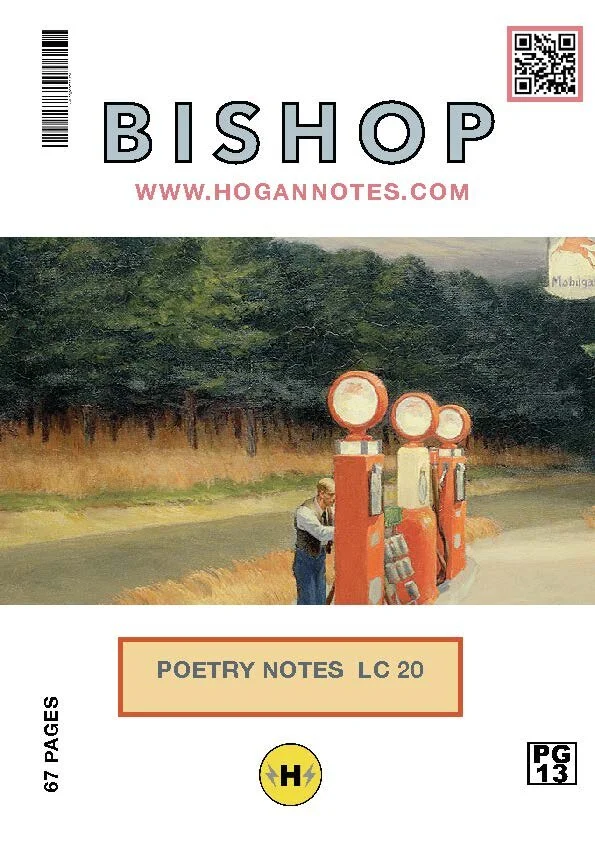 Pages from Bishop 2020.jpg