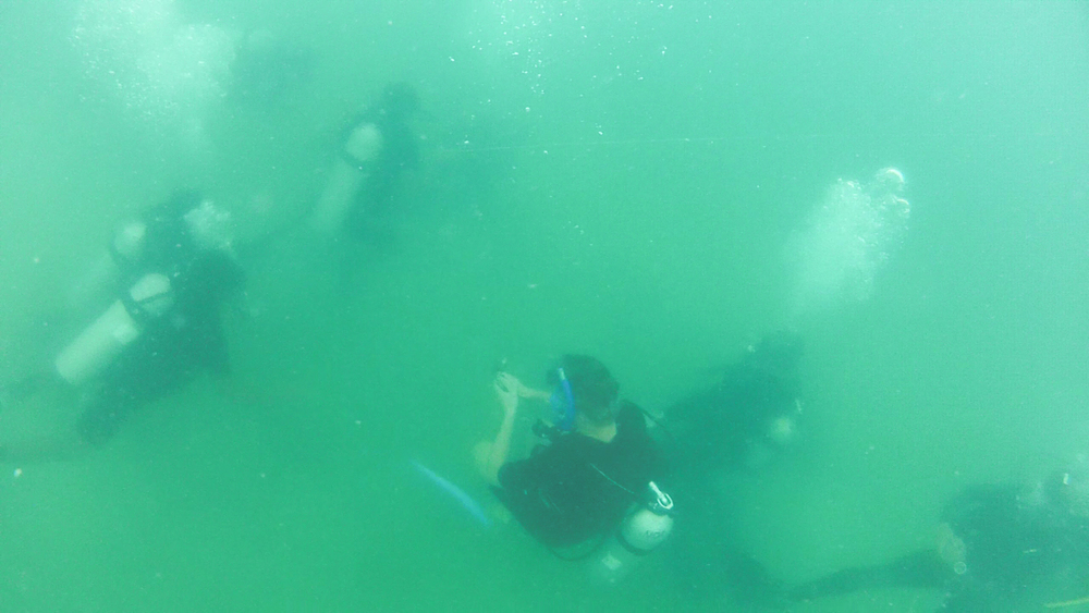  Recruits practise tended diving, a technique for underwater maneuvering in low-visibility conditions. The method involves a tended line manned by a team member on the surface, who can guide divers using line pull signals. 