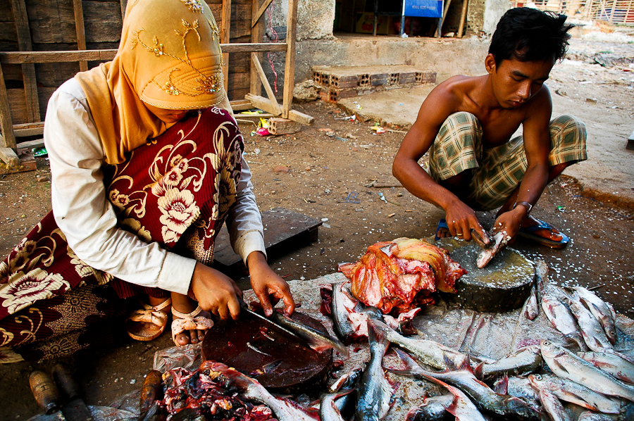  Members of a Cham Muslim family clean fish in a village near Phnom Penh. Many people in Cambodia's Cham minority community make a living fishing. 