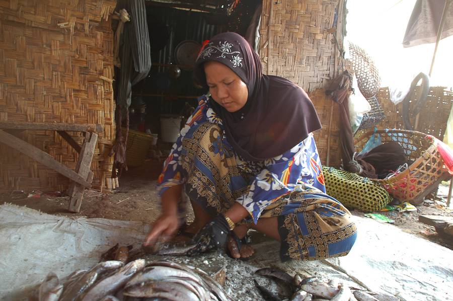  A woman scrapes the scales off fish in a village near Phnom Penh. 