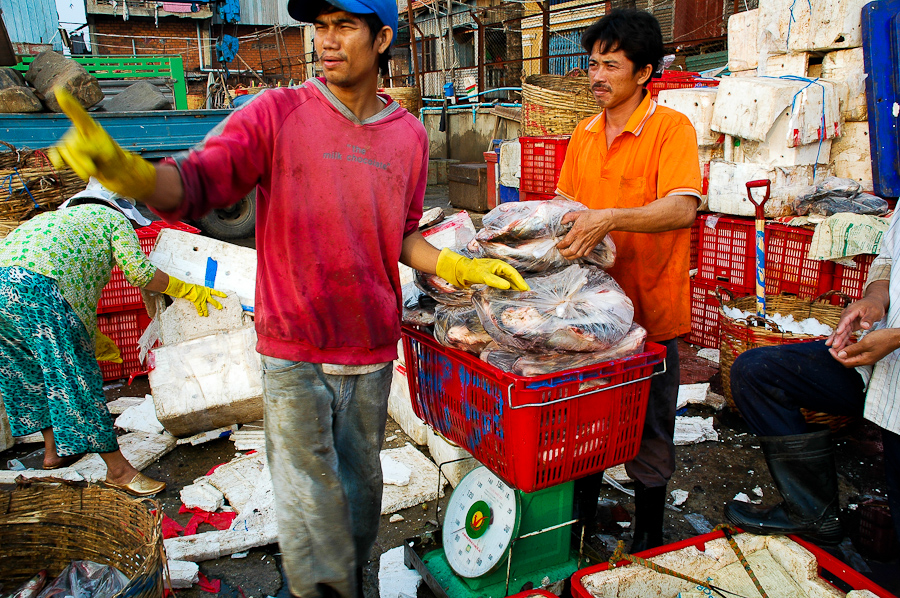  Workers weigh fish at a wholesale market on the banks of the Tonle Sap River outside Phnom Penh. 