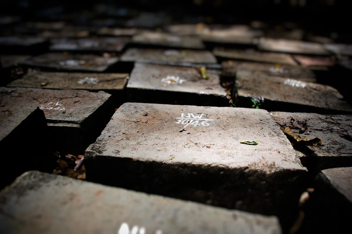 Lowered expectations