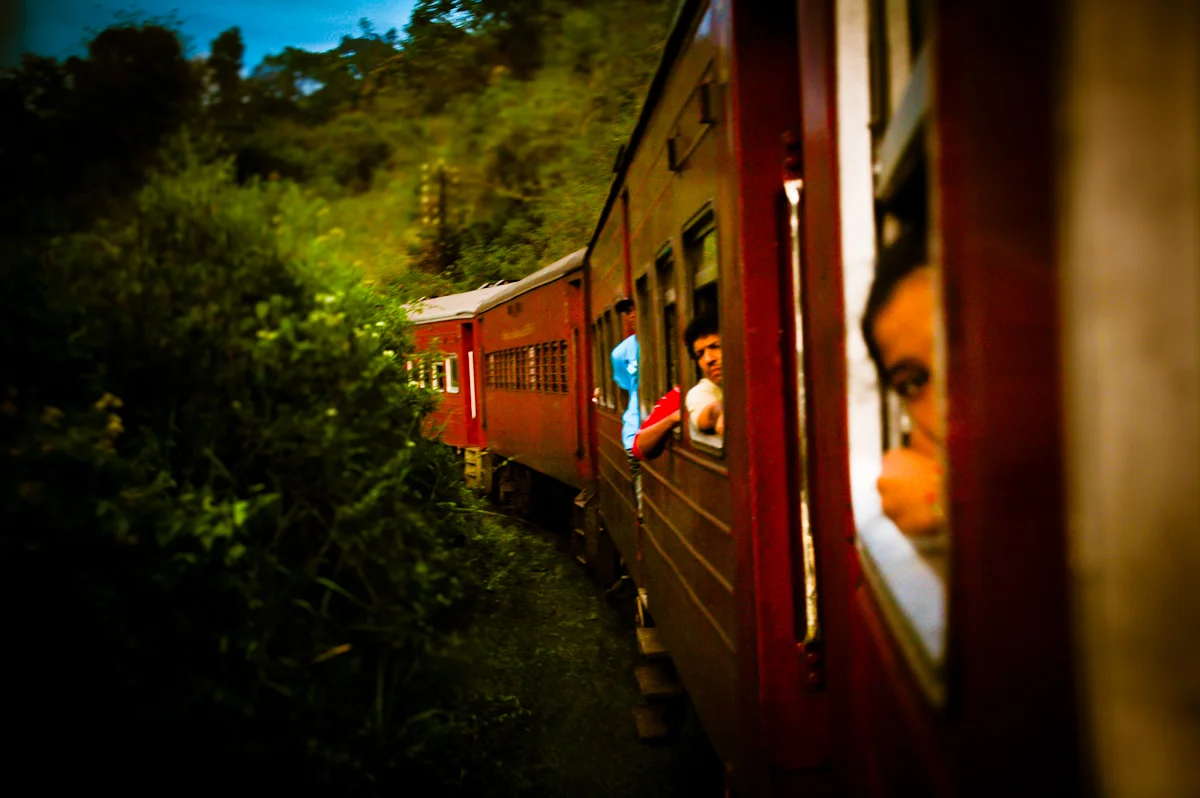 Observed: A Day at the Races