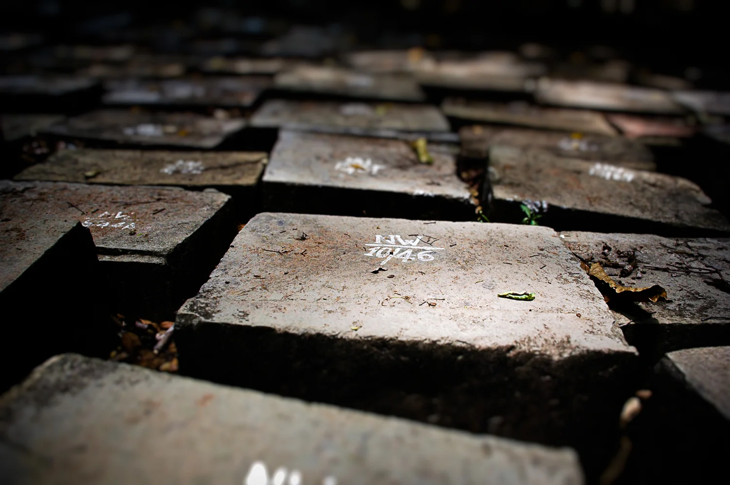 Government will silence critics with new NGO law, rights groups say