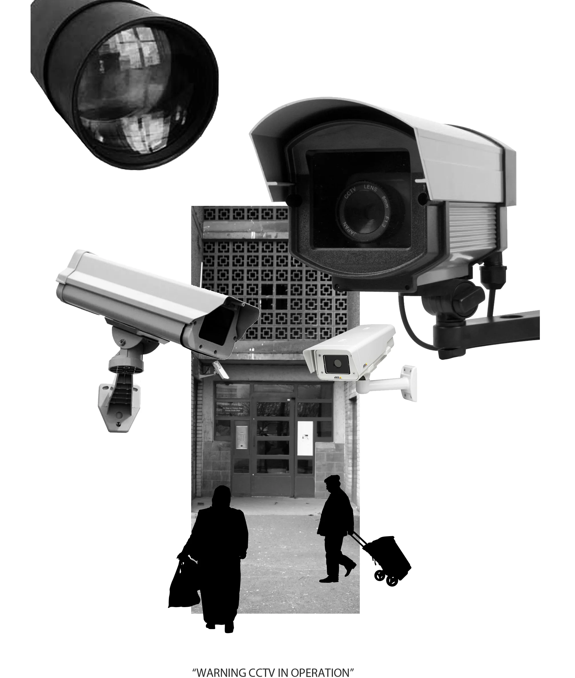 'Big Brother'.jpg