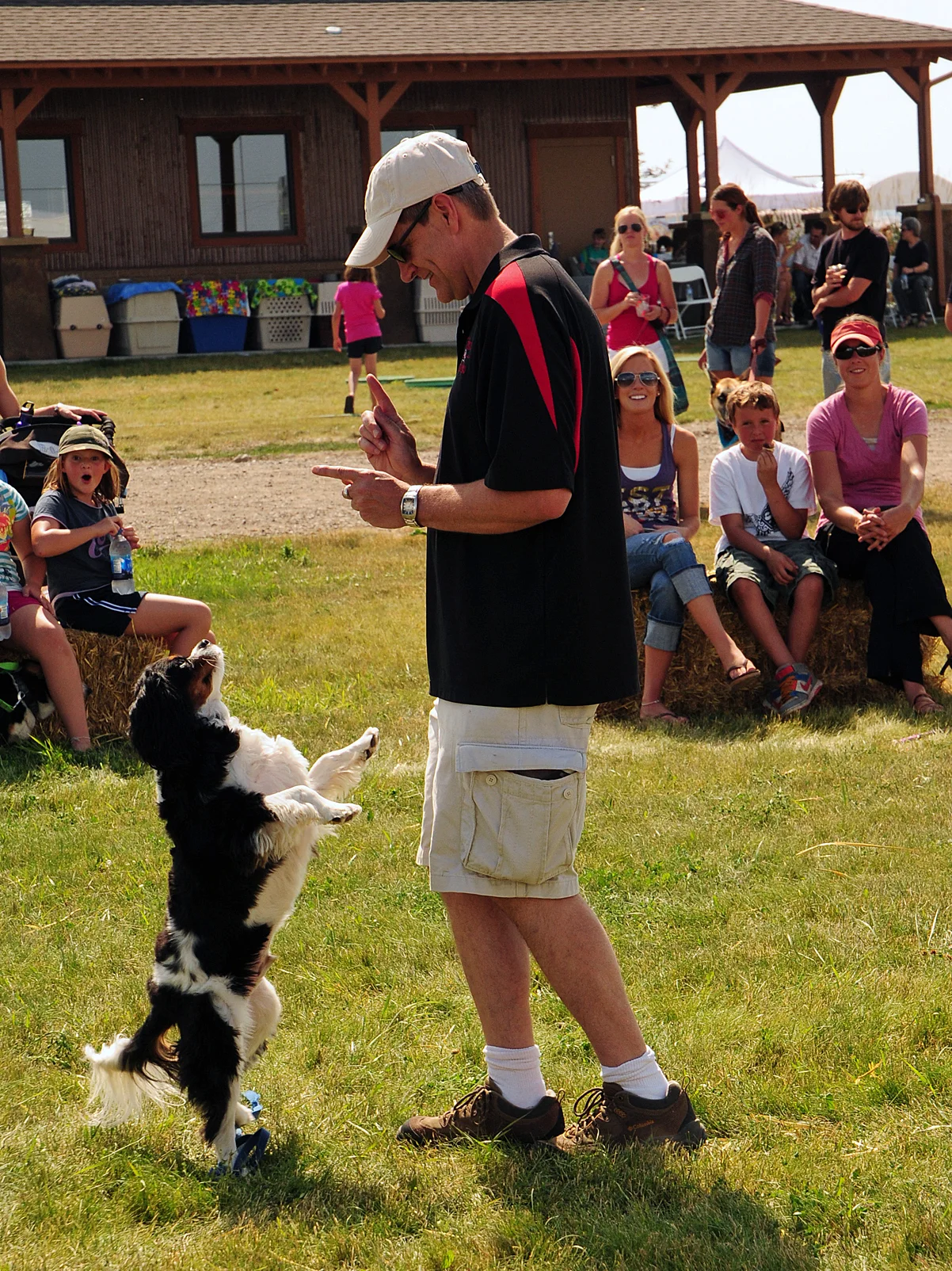 TEAMS — Musical Dog Sport Association