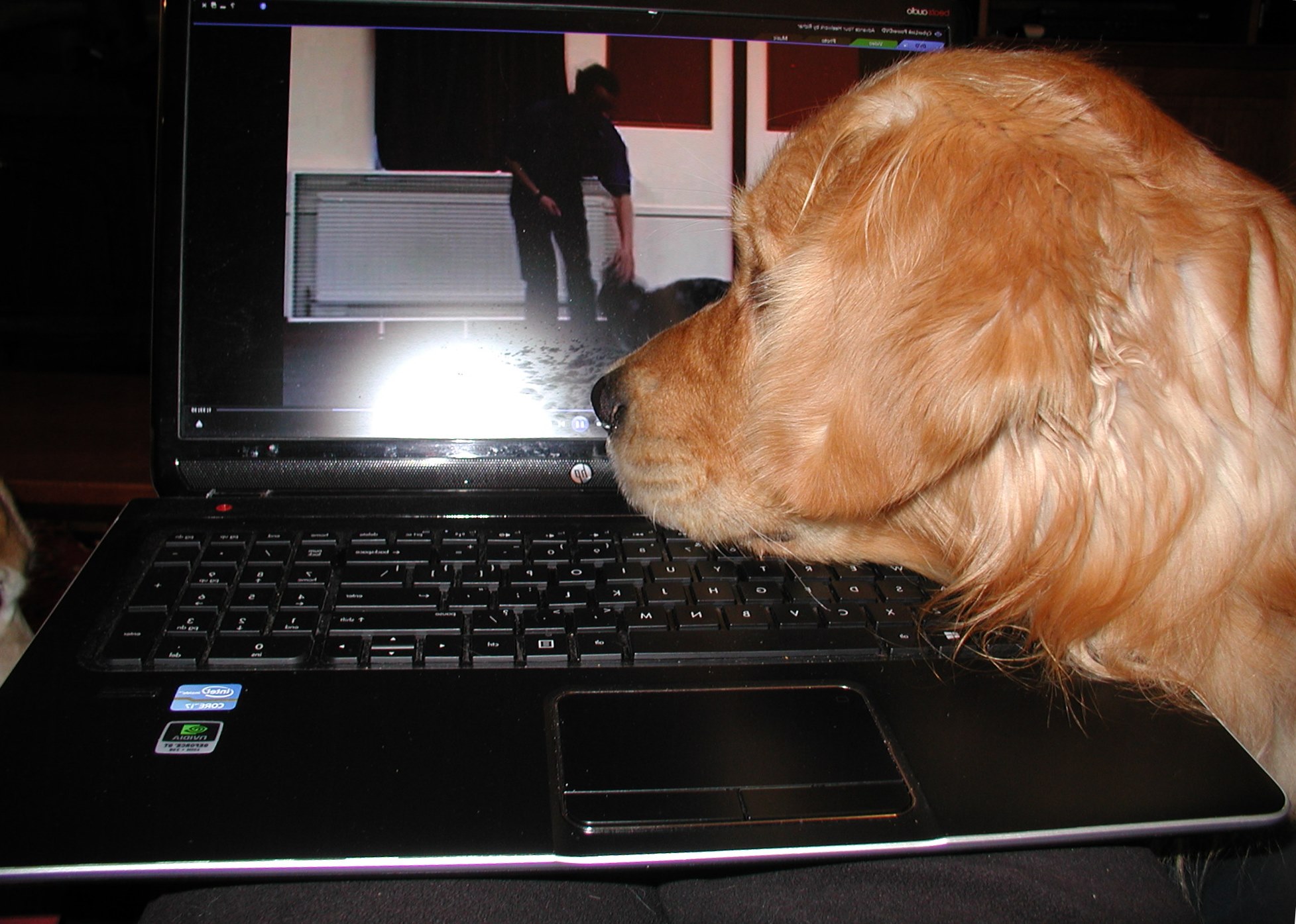 Martin is watching a Richard Curtis freestyle training video on his laptop.