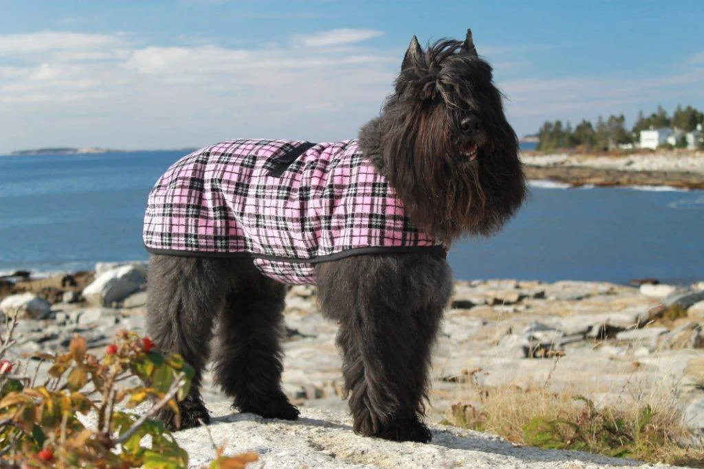Shadow Styling in Plaid