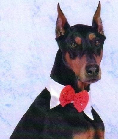 Broker and his bow tie.