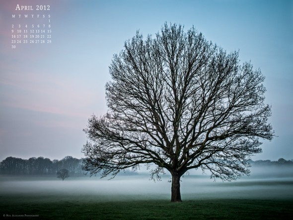 April-Desktop-Wallpaper-1024x7681-590x442.jpg