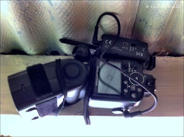 S B900 and Pocket Wizard bungeed to the rafters