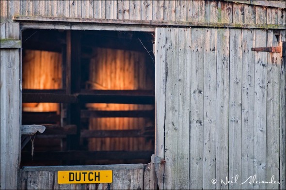 Dutch - Lydiate Lane Farm, Cuerdon, Lancashire