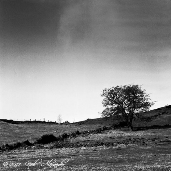 C rumbling dry stone wall in the Peak District (Click for larger)