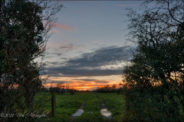 P uddles in a field, New Longton (Click to view larger)