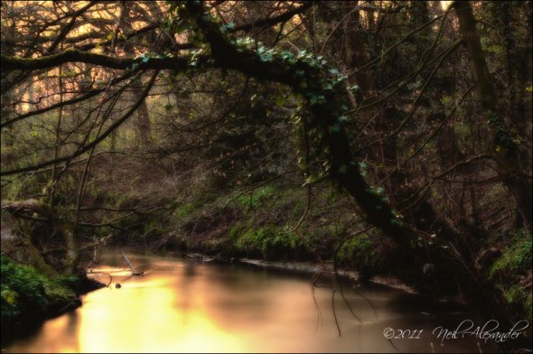 Silky Bollin, Neil Alexander (Click for larger)