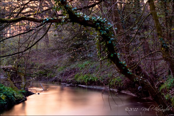 Silky Bollin, Neil Alexander (Click for larger)