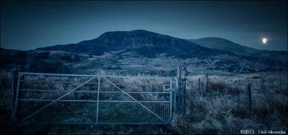 Moonlit gate